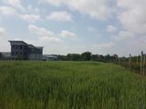 thumbnail-background