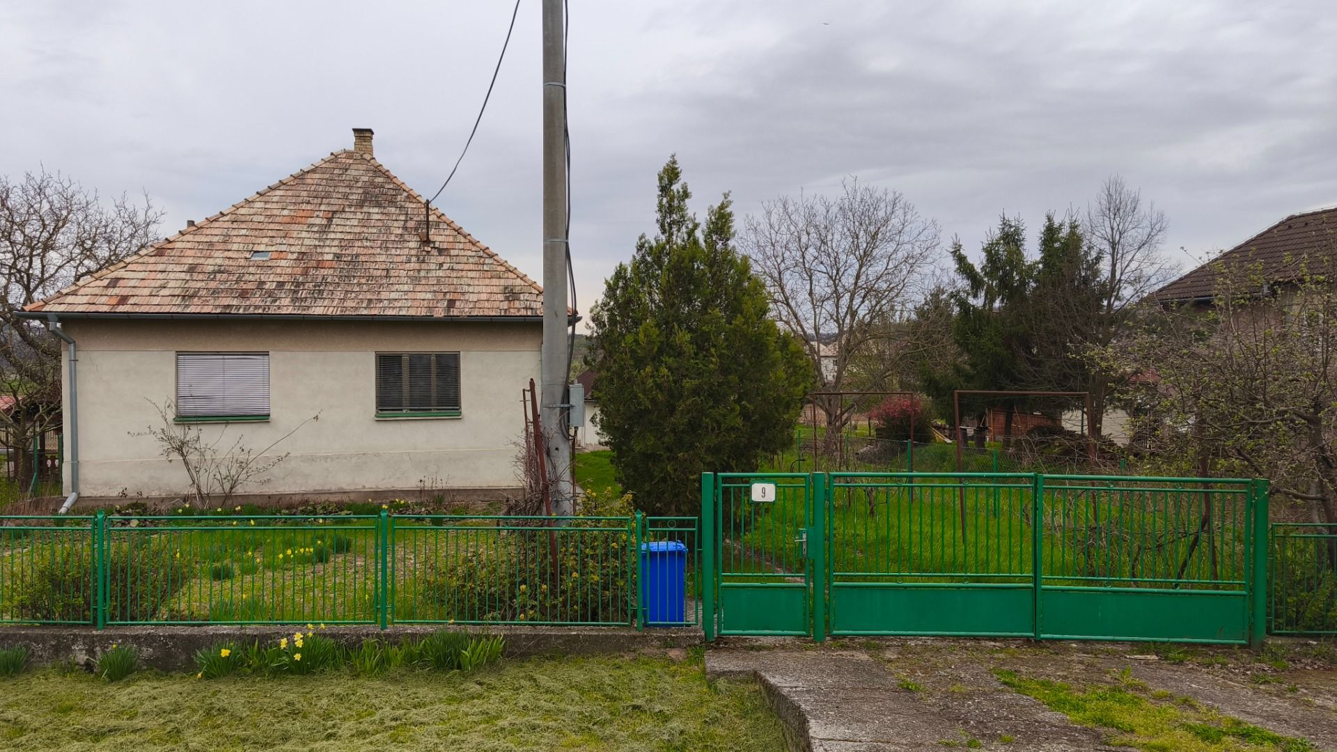 Foto