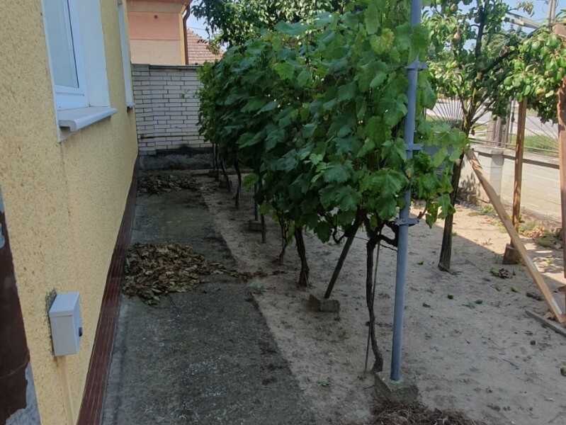 Na predaj ihneď obývateľný 3 izbový rodinný dom Dvory nad Žitavou