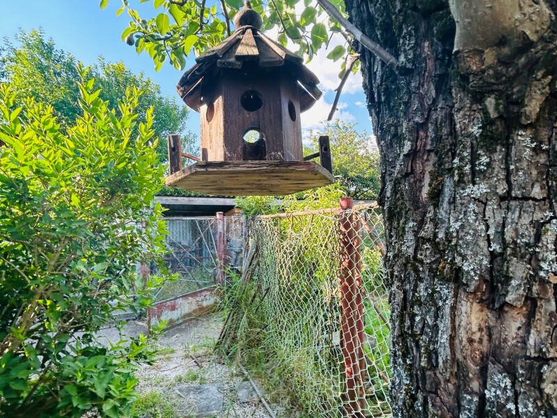 Predaj rodinného domu s fotovoltaikou - Veľký Kýr