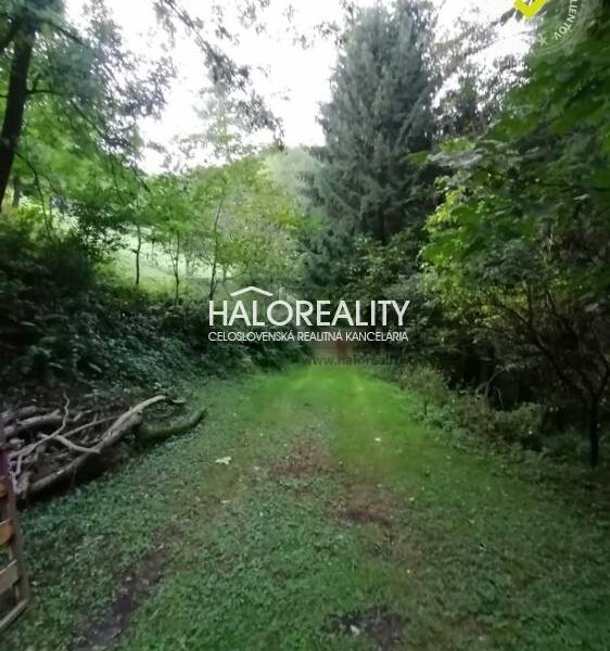 HALO reality - Predaj, rekreačný pozemok Píla - ZNÍŽENÁ CENA - EXKL...