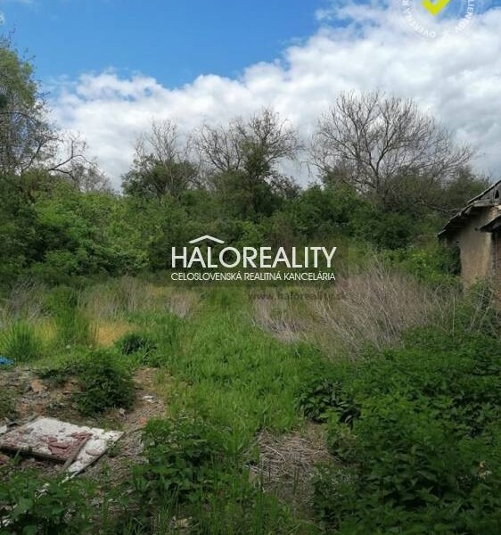 HALO reality - Predaj, rodinný dom Bušince, časť Zombor - ZNÍŽENÁ C...