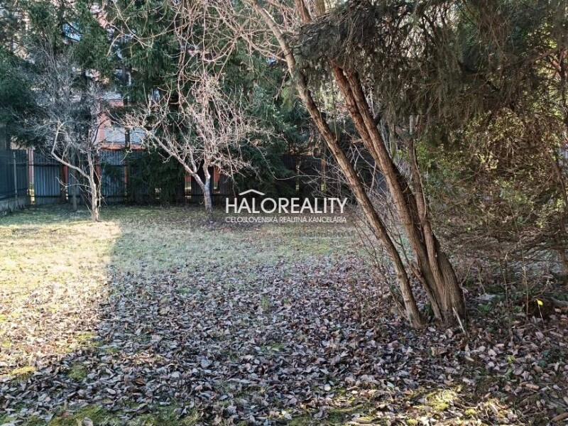 HALO reality - Predaj, rodinný dom Nováky, pozemok 614 m2 - EXKLUZÍ...