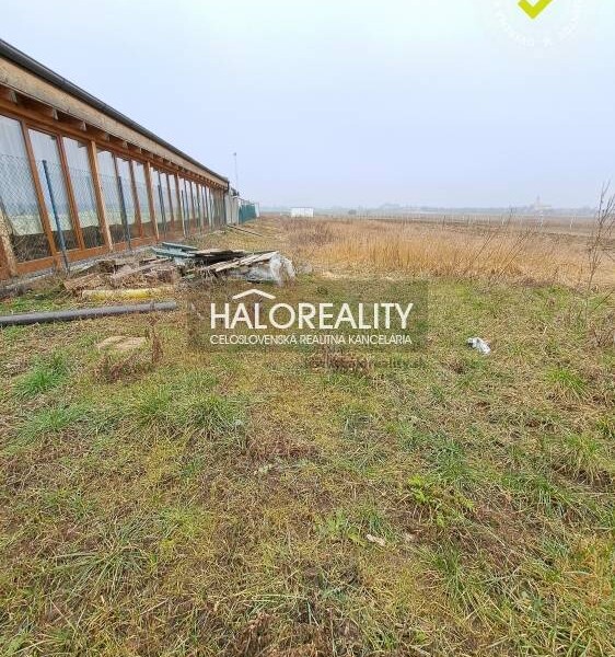 HALO reality - Predaj, rekreačný pozemok Veľký Biel