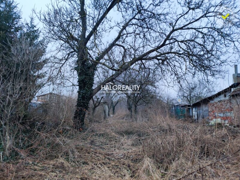 HALO reality - Predaj, rodinný dom Jelenec - ZNÍŽENÁ CENA