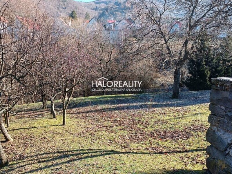 HALO reality - Predaj, rekreačný pozemok Podhradie - ZNÍŽENÁ CENA -...