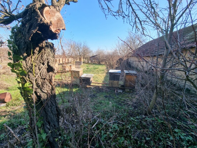 Rodinný dom, stavebný pozemk na predaj v lokalite Šahy časť Tešmák