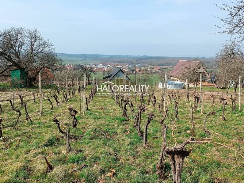 HALO reality - Predaj, rekreačný pozemok Žemberovce, s viničným dom...