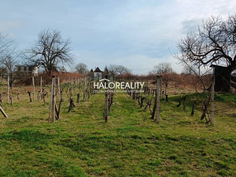 HALO reality - Predaj, rekreačný pozemok Žemberovce, s viničným dom...