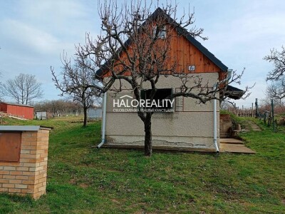 HALO reality - Predaj, rekreačný pozemok Žemberovce, s viničným dom...