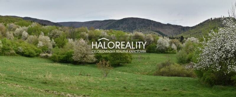 HALO reality - Predaj, rekreačný pozemok Kľak - ZNÍŽENÁ CENA - EXKL...