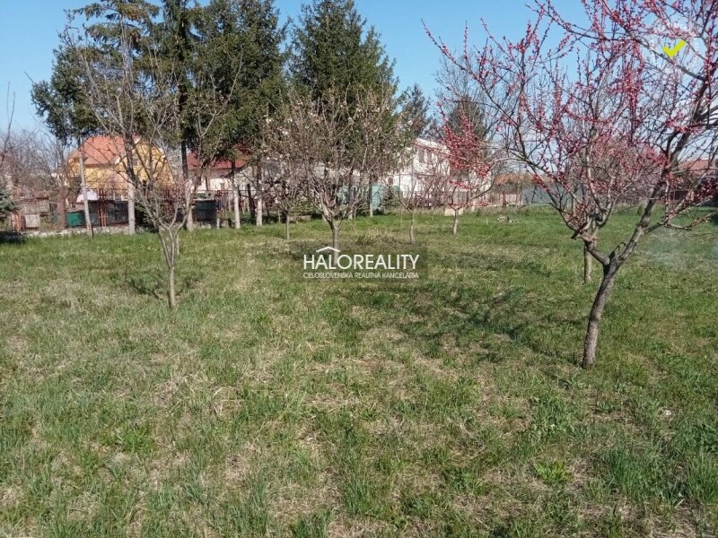 HALO reality - Predaj, záhradný pozemok 492 m2 Patince