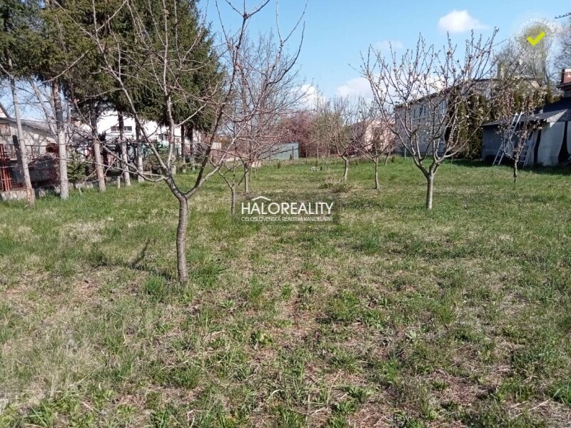 HALO reality - Predaj, záhradný pozemok 492 m2 Patince