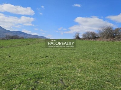 HALO reality - Predaj, orná pôda 7761 m2 Svätý Anton