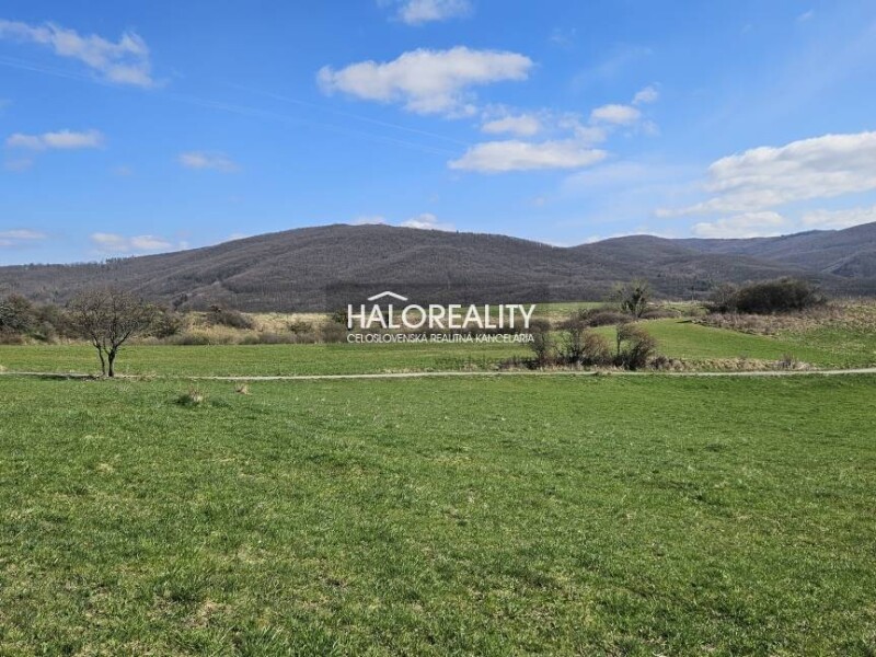 HALO reality - Predaj, orná pôda 7761 m2 Svätý Anton