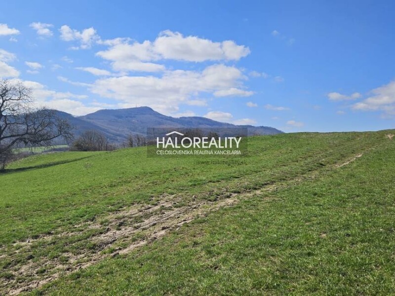 HALO reality - Predaj, orná pôda 7761 m2 Svätý Anton