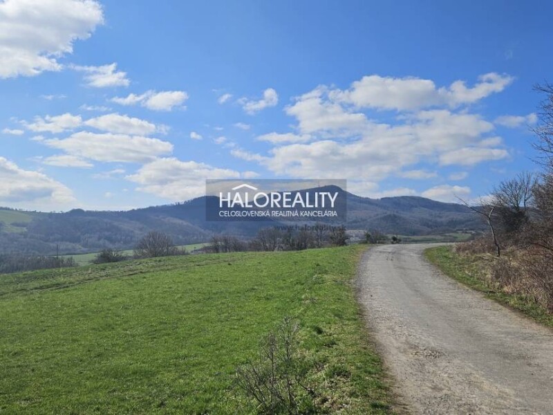 HALO reality - Predaj, orná pôda 7761 m2 Svätý Anton