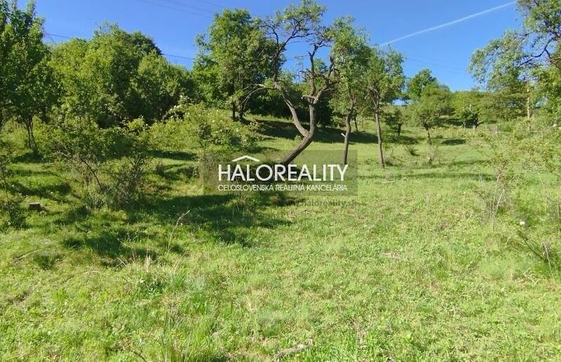 HALO reality - Predaj, rekreačný pozemok Krupina, iba 7 €/m2 - ZNÍŽ...