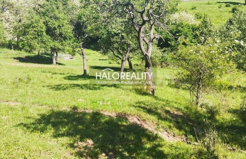 HALO reality - Predaj, rekreačný pozemok Krupina, iba 7 €/m2 - ZNÍŽ...