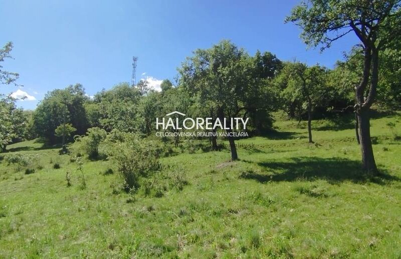 HALO reality - Predaj, rekreačný pozemok Krupina, iba 7 €/m2 - ZNÍŽ...