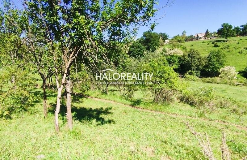 HALO reality - Predaj, rekreačný pozemok Krupina, iba 7 €/m2 - ZNÍŽ...