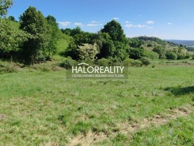 HALO reality - Predaj, rekreačný pozemok Krupina, iba 7 €/m2 - ZNÍŽ...