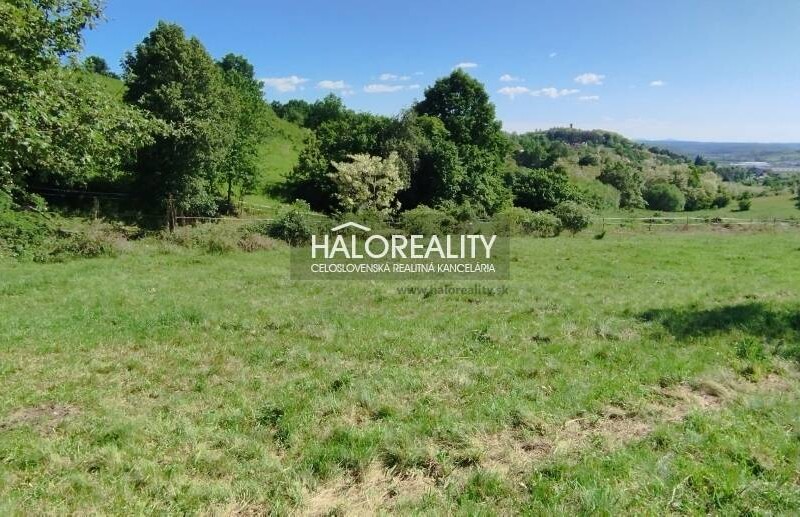 HALO reality - Predaj, rekreačný pozemok Krupina, iba 7 €/m2 - ZNÍŽ...