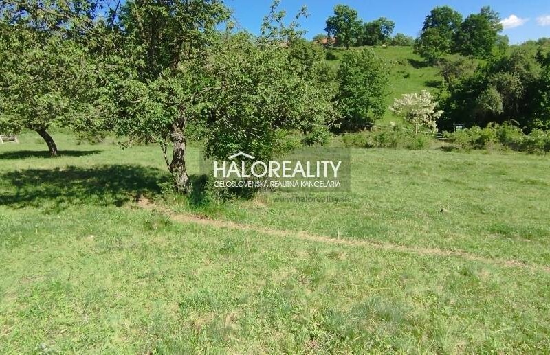 HALO reality - Predaj, rekreačný pozemok Krupina, iba 7 €/m2 - ZNÍŽ...