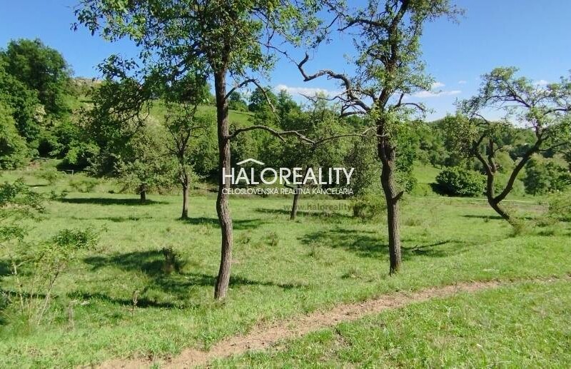 HALO reality - Predaj, rekreačný pozemok Krupina, iba 7 €/m2 - ZNÍŽ...