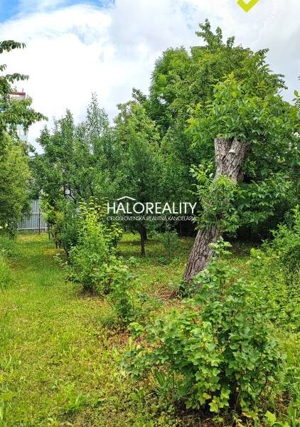 HALO reality - Predaj, rodinný dom Lučenec, centrum - ZNÍŽENÁ CENA ...