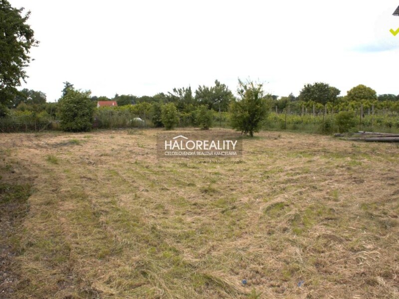 HALO reality - Predaj, pozemok pre rodinný dom 1146 m2 Cífer