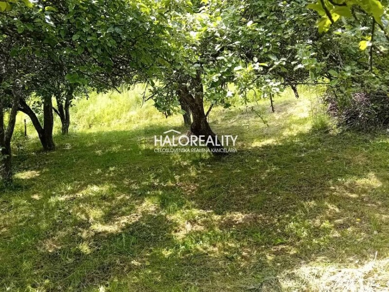 HALO reality - Predaj, záhradná chata Divín, Divínske Lazy