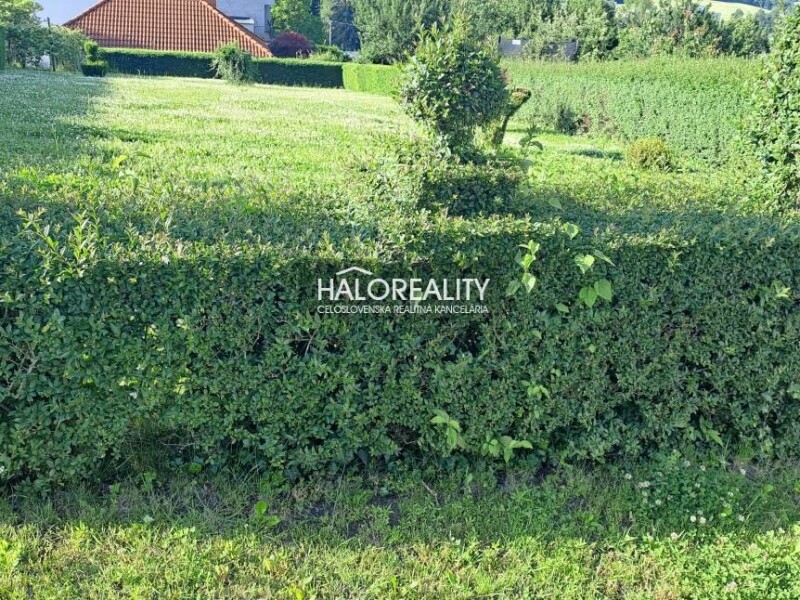 HALO reality - Predaj, rodinný dom Handlová, Hôrka - ZNÍŽENÁ CENA -...