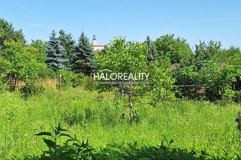 HALO reality - Predaj, rekreačný pozemok Nitra, Investičný pozemok ...