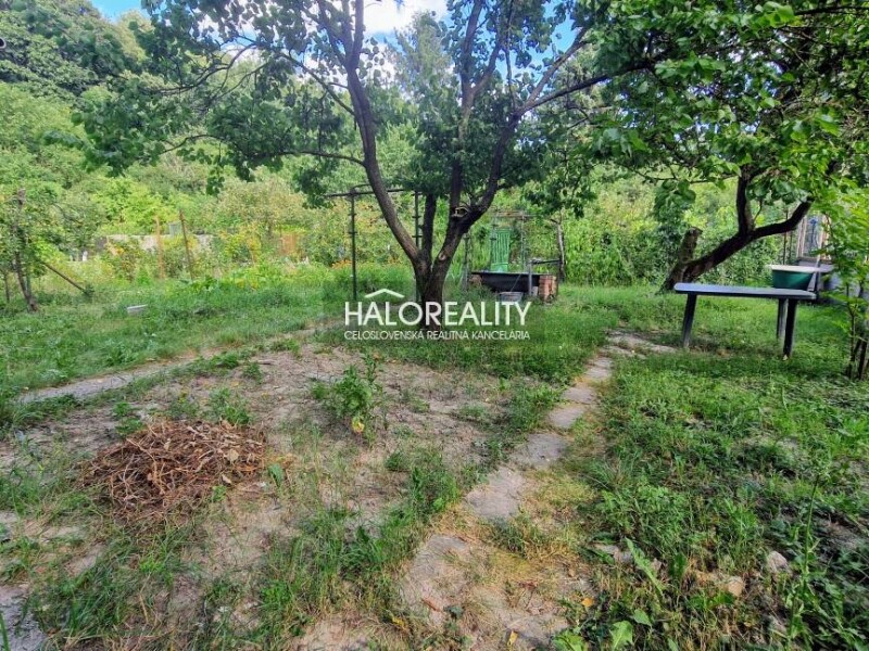 HALO reality - Predaj, záhradná chata Bratislava Devín, Devínska cesta