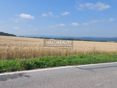 HALO reality - Predaj, orná pôda 70000 m2 Kráľovce, Kráľovce - EX...