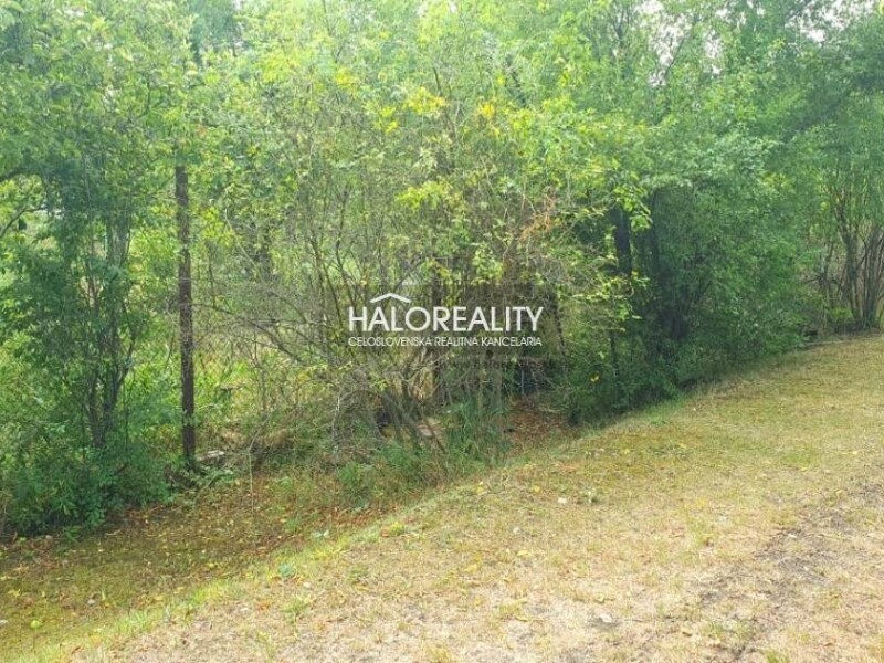 HALO reality - Predaj, záhradný pozemok 173 m2 Bratislava Rača, Ž...