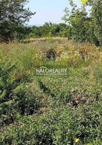 HALO reality - Predaj, rodinný dom Gbelce, s veľkou záhradou - EXKL...