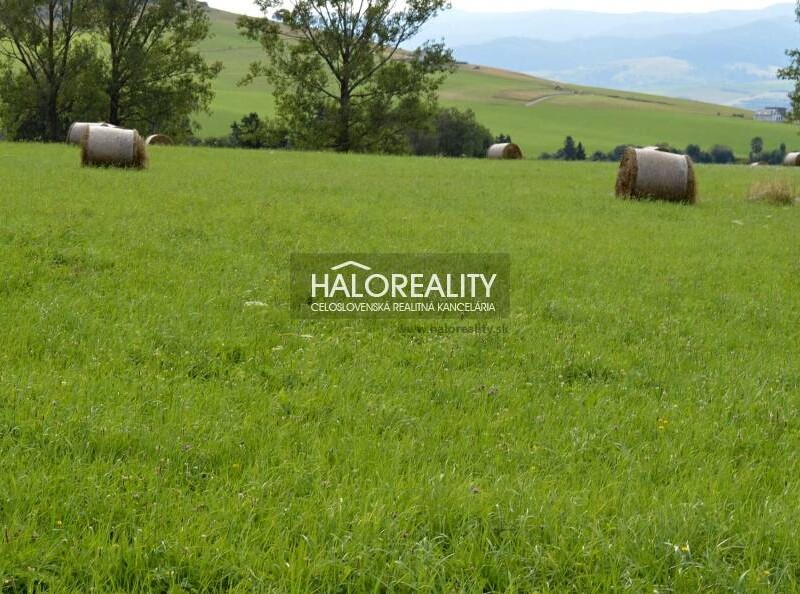 HALO reality - Predaj, pozemok pre rodinný dom 1128 m2 Slovenská Ves