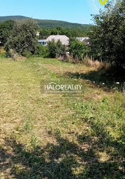 HALO reality - Predaj, rodinný dom Kleňany, s veľkou záhradou