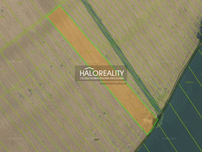 HALO reality - Predaj, orná pôda 12700 m2 Veľké Janíkovce - EXKLU...