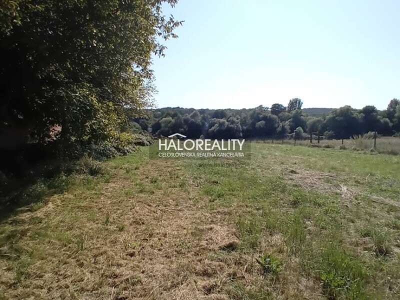 HALO reality - Predaj, rodinný dom Lučenec, s veľkorysým pozemkom -...