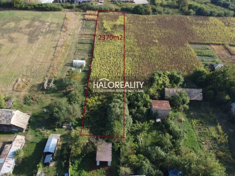 HALO reality - Predaj, záhradný pozemok 2370 m2 Tornaľa, Alexandr...