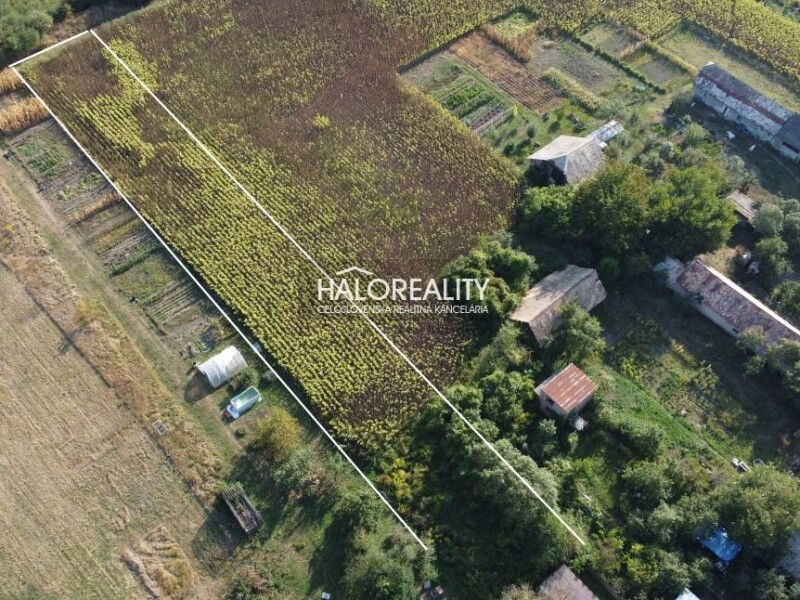 HALO reality - Predaj, záhradný pozemok 2370 m2 Tornaľa, Alexandr...