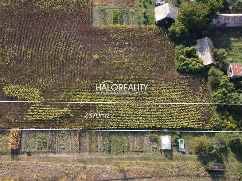 HALO reality - Predaj, záhradný pozemok 2370 m2 Tornaľa, Alexandr...