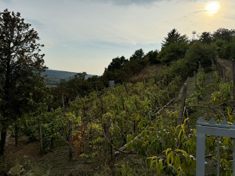 Predaj chaty s rekreačným pozemkom v Šahách, okres Levice