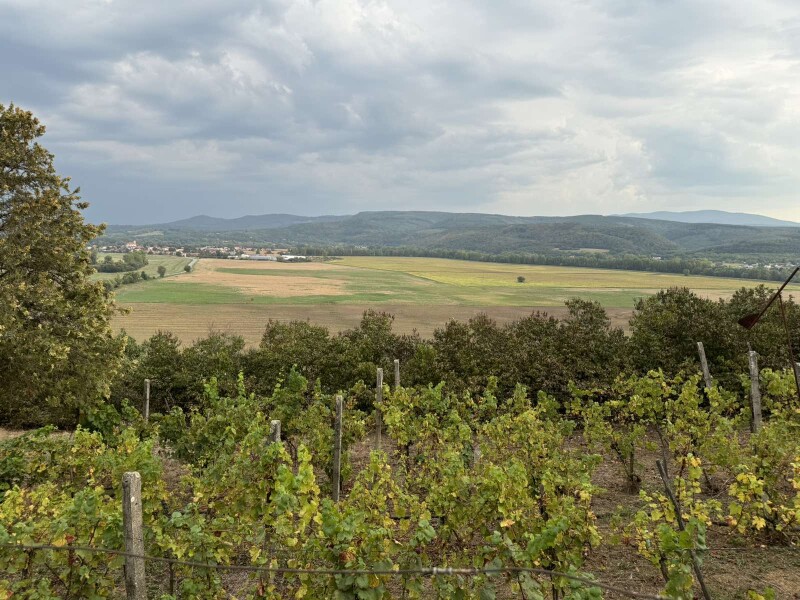 Predaj chaty s rekreačným pozemkom v Šahách, okres Levice