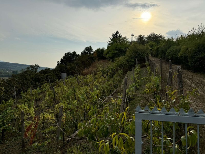 Predaj chaty s rekreačným pozemkom v Šahách, okres Levice