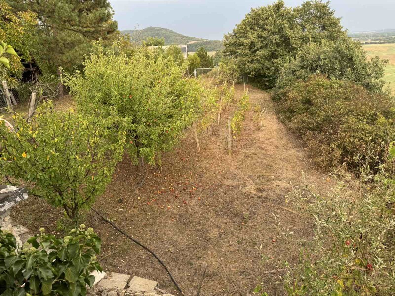 Predaj chaty s rekreačným pozemkom v Šahách, okres Levice