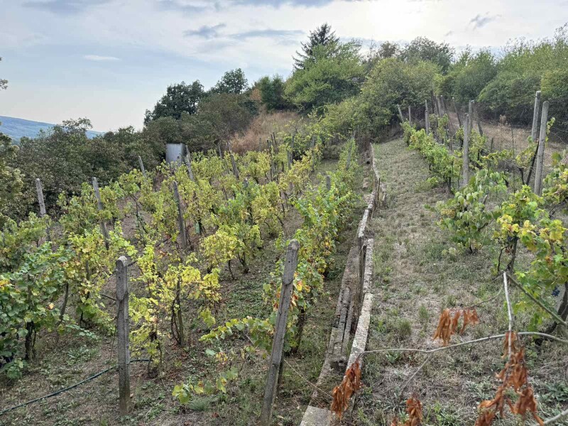 Predaj chaty s rekreačným pozemkom v Šahách, okres Levice